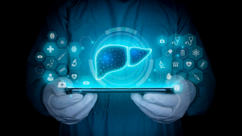 Doctor holding a tablet with medical imagery and a liver illustration coming out of it